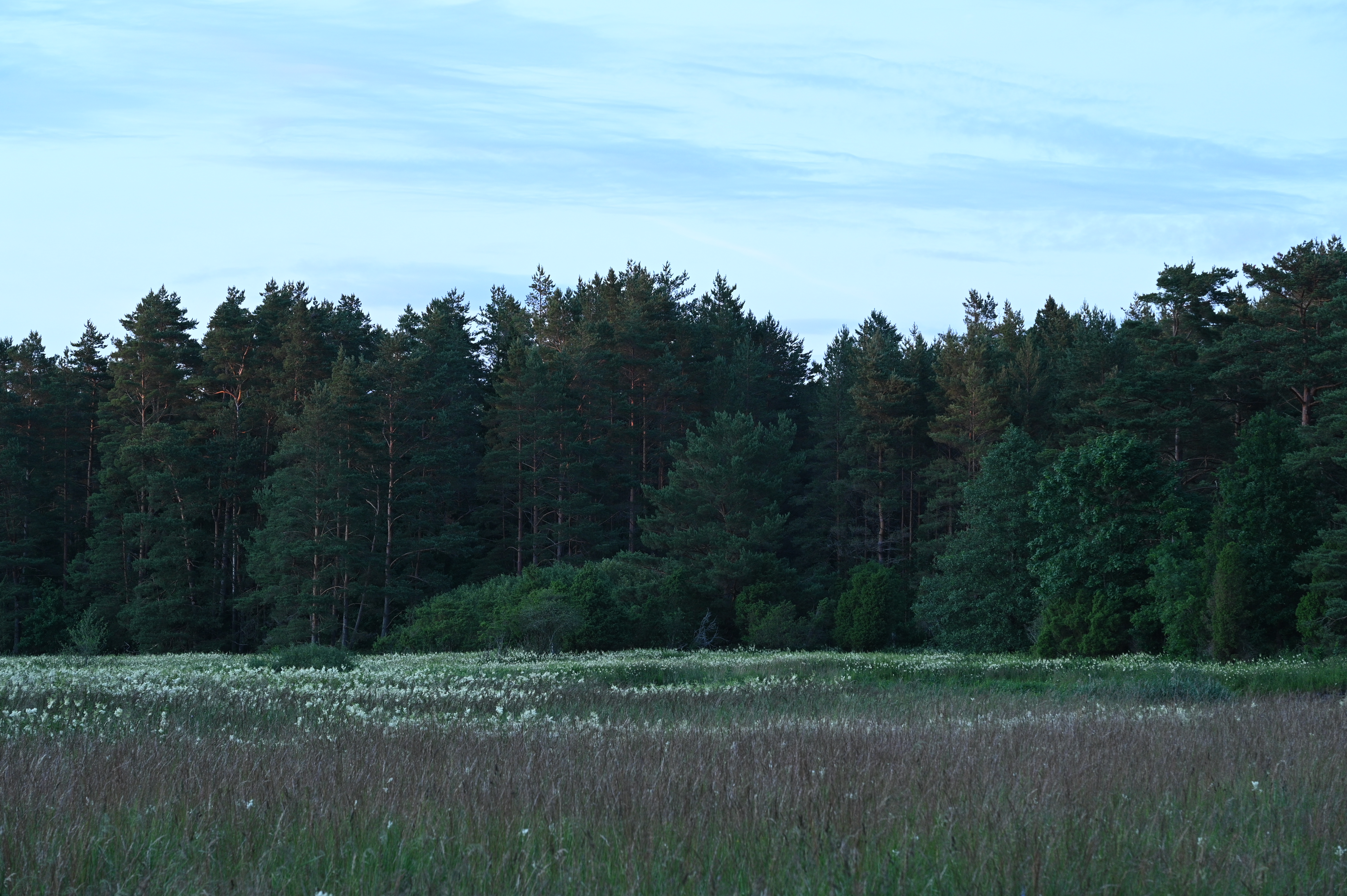 2025/07/09-14 - trip/DSC_0109.JPG